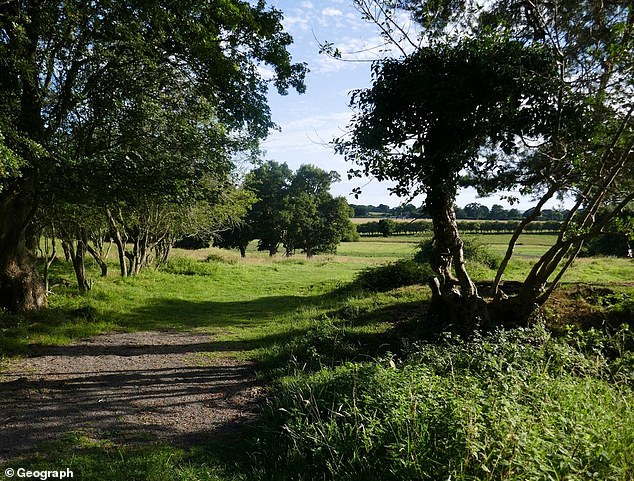 یک نمونه از زمین های کشاورزی انگلستان که برای طبیعت بازپس گیری می شود ، املاک Knepp در West Sussex (تصویر) است ، جایی که ساقه های سفید به دلیل یک پروژه بازسازی در حال بازگشت هستند