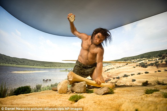 Homo Heidelbergensis در اروپا ، بین 650،000 تا 300000 سال پیش ، درست قبل از مرد نئاندرتال زندگی می کرد