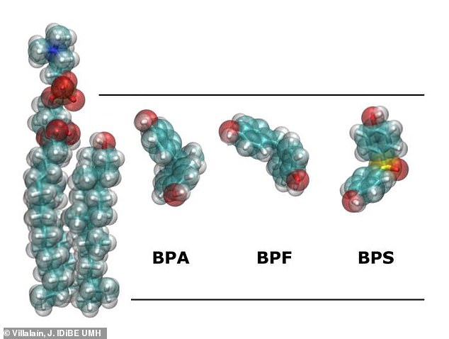 بسیاری از دستگاه های متخلف حاوی BPA هستند ، یک ماده شیمیایی که معمولاً برای کمک به سخت شدن پلاستیک هایی که برای ایجاد اختلال در عملکرد هورمونی بدن شناخته می شوند ، استفاده می شود. این ممکن است باعث ایجاد مشکلات باروری ، ایجاد اختلال در رشد جنسی و منجر به سرطان و سایر مشکلات بهداشتی شود