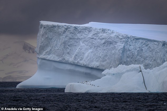 یخ دریا در antactica ، مانند این کوه یخ در ساحل جزیره Dismal ، هنگام قرار گرفتن در معرض آب گرم ، از پایین به بالا ذوب می شود. از آنجا که Icemelt آب شیرین را آزاد می کند ، این باعث می شود آب اطراف آن سبک تر شود و فرآیندهایی را که ACC را هدایت می کند ، کند می کند