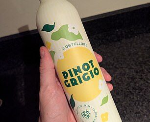 آیا شراب را در بطری های آلومینیومی امتحان می کنید؟ MailOnline Pinot Grigio را از یک ظرف فلزی عجیب و غریب که قول می دهد ردپای کربن را برطرف کند ، سلیقه می کند - بنابراین ، آیا تا معادل شیشه خود زندگی می کند؟