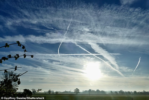 Chemtrails گفته می شود مواد شیمیایی متعددی دارند که توسط هواپیماها از جمله نمک های باریم ، اکسید آلومینیوم ، استرانسیوم و جیوه آزاد می شوند