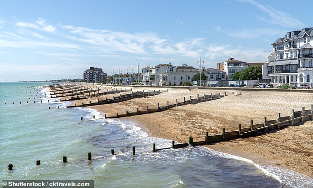 Bognor Regis Beach (تصویر بالا) در Sussex متأسفانه در لیست پرچم قهوه ای امسال قرار دارد