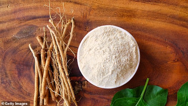 ریشه ها و برگهای گیاه Ashwagandha به پودرها یا عصاره ها تبدیل شده و قرن ها در طب سنتی مورد استفاده قرار می گیرند (تصویر سهام)