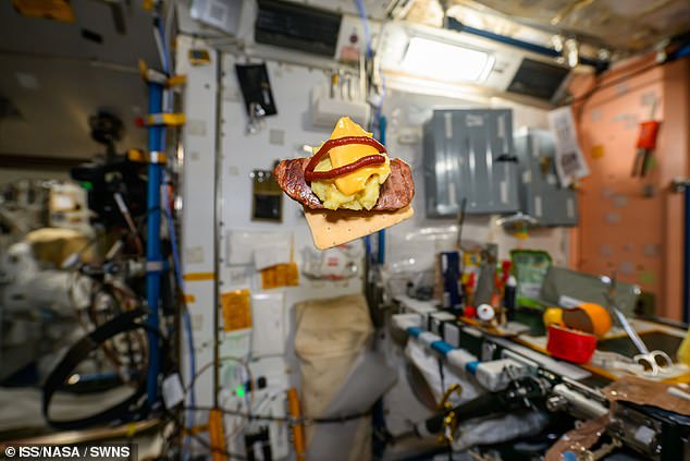 با داشتن منابع محدود در ISS ، کیم مجبور شد با همبرگر خود خلاقیت پیدا کند. این شامل