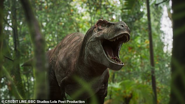 قسمت جدید Walking With Dinosaurs ، با Clover the Triceratops ، بیش از 25 سال پس از اولین بار این سریال در سال 1999 پخش شد