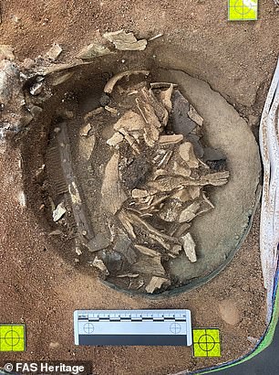 امید است که DNA باستان از طرف مالک ممکن است روی شانه زنده بماند.