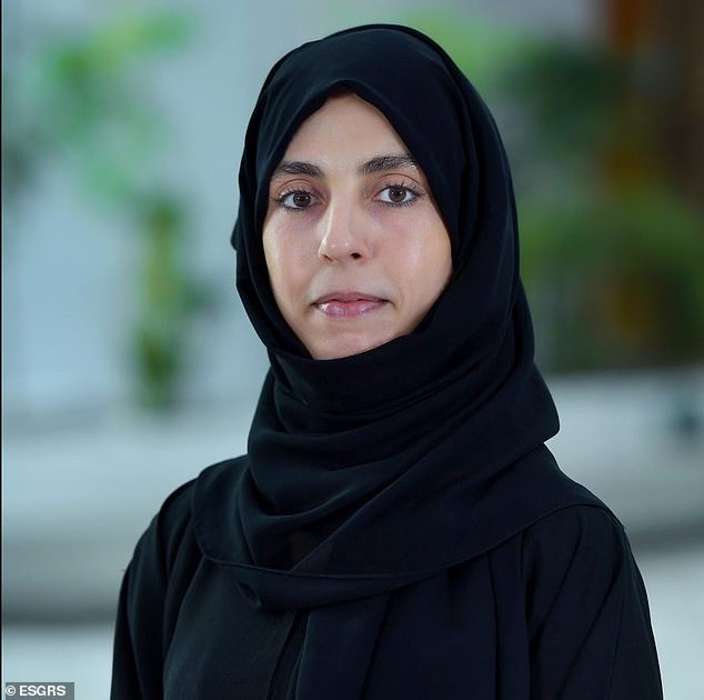 دکتر Haïfa Ben-Romdhane همچنین در این کشف که داده های SAR را با تصاویر ماهواره ای با وضوح بالا ترکیب کرده بود برای اسکن در زیر ماسه های بیابانی در ساروق الحدید درگیر شد.