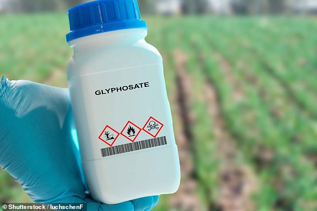 گلیفوزات محبوب ترین Weedkiller جهان است اما طبق گفته WHO ،