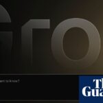 Musk's Ai Bot Grok خطای برنامه نویسی را به خاطر انکار هولوکاست خود سرزنش می کند | الون مس