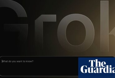 Musk's Ai Bot Grok خطای برنامه نویسی را به خاطر انکار هولوکاست خود سرزنش می کند | الون مس