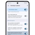 بنا بر گزارش ها گوگل در حالت دسک تاپ مانند DEX خود برای دستگاه های Android کار می کند