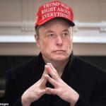 ترامپ در میان گزارش های مربوط به RIFT با رئیس جمهور ، 1 میلیارد دلار هدیه Elon Musk را دست می دهد