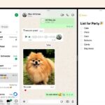 سرانجام متا به کاربران iPad تجربه پیام رسانی بهتر با یک برنامه بومی WhatsApp می دهد