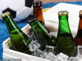 شما آبجو خود را اشتباه کرده اید! کارشناسان سریعترین راه را برای خنک کردن جوشان خود نشان می دهند - و این شامل فریزر نمی شود