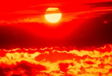 نیمی از جمعیت جهان تحت تاثیر گرمای شدید قرار گرفتند