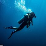 مردم فقط می دانند که "SCUBA" چیست