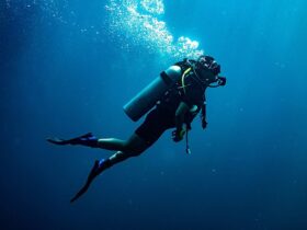 مردم فقط می دانند که "SCUBA" چیست