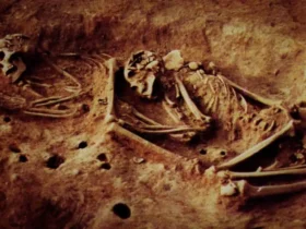 کشف یک تبار ناشناخته با تحلیل داده‌های ژنتیکی