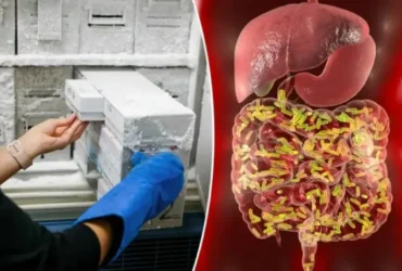 گنجینه میکروبی نسل‌های آینده را بیمه می‌کند