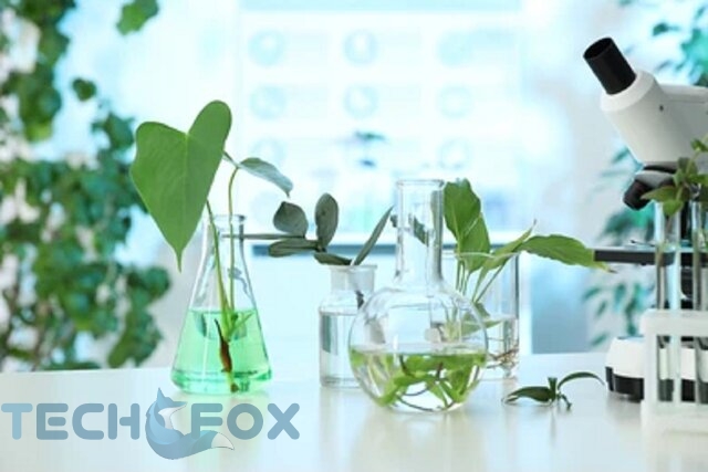 رونمایی از فناوری نوین گیاهان دارویی